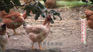 第37集 傳承祖母的好味道