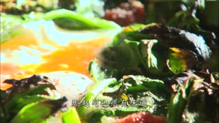 第48集 原味風義式饗宴