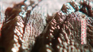 第64集 合鴨巡田自然米