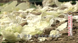 第70集 媽媽的還願菜
