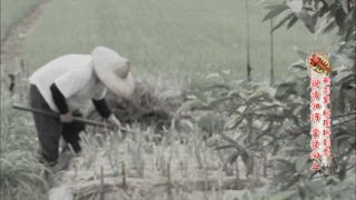 第71集 無菜單的人生饗宴