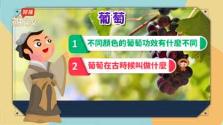 第41集 它是水果之神，葡萄乾＋1物。學起來！3種腹痛都搞定