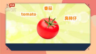 第48集 番茄生熟2吃，淡斑 養心 降血栓。胃病便秘救星！1杯養胃茶＋按肚肚