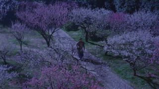 第40集