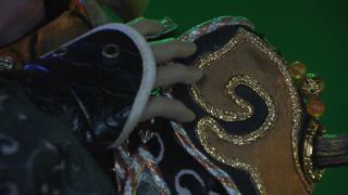 第9章 覺醒