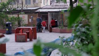 第11集 火鳳凰