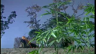 第6集