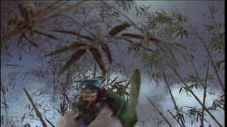 第17集