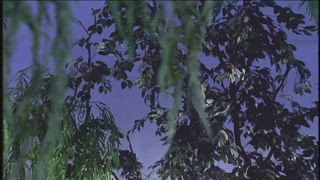 第20集
