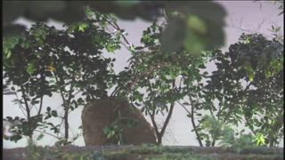 第15集