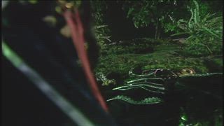 第19集