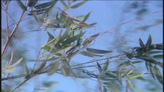 第26集