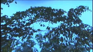 第25集