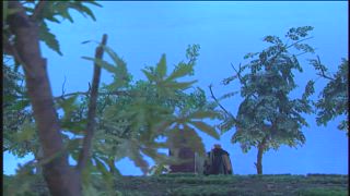 第30集