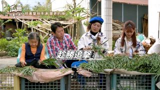 第11集