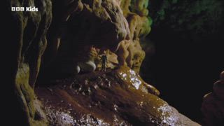 第2集 安迪與扁尾海蛇