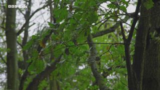 第4集 大掃除