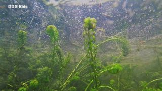 第5集 雙重麻煩