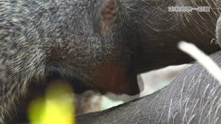 第3集 友情