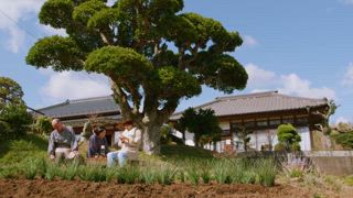第4集 再來一顆棉花糖！