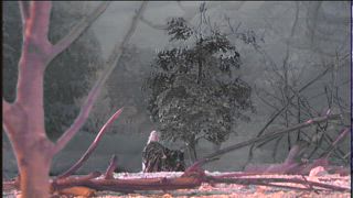第19集