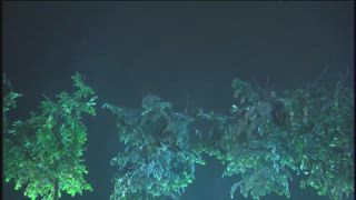 第11集