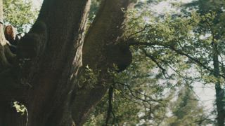 第2集