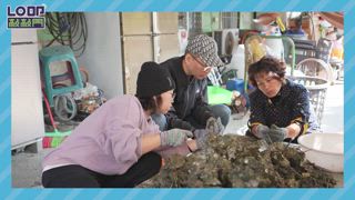 EP40 臭豆腐包鮮甜海中珍珠 七股老饕限定「珠寶盒」！