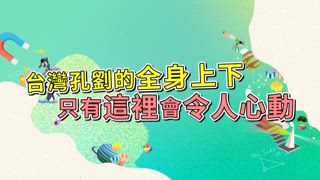 第13集 天龍隊 VS 地虎隊