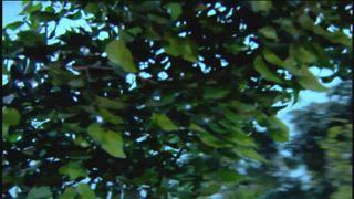 第13集