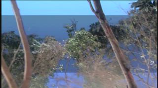 第36集