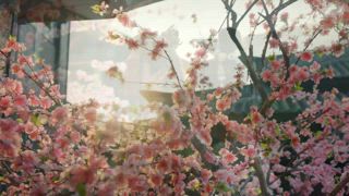 第10集