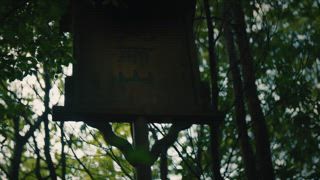 第8集