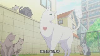 第16集
