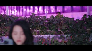 第24集 主夫尚在試用期