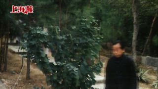 第8集