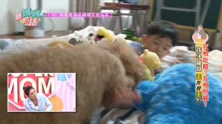第114集 創造孩子寵物歡樂時光