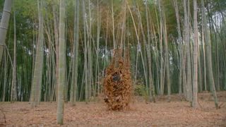 第10集