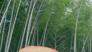 第11集