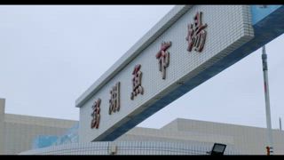 第5集 風帆學習+澎湖在地文化