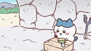 第238集 小八貓的一天①