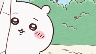第163集 被誇獎的緞帶④