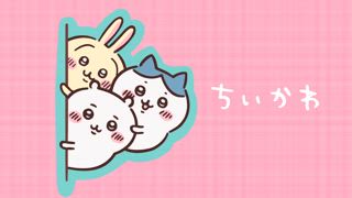 第170集 野餐③