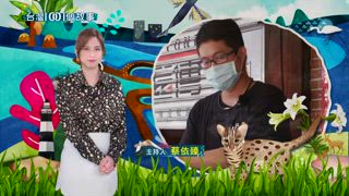 第609集 市場總鋪師vs.夜市三角骨 人氣天王生存大比拚