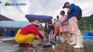 第612集 百年鼎邊趖vs.卯澳小卷粥 巨無霸海鮮成漁村人氣小吃