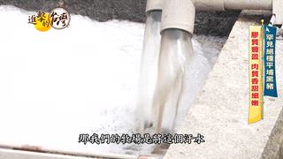 第582集 新北貢寮必吃「野生龍蝦」懸崖餐廳老饕百元爽爽嗑！宜蘭「鹽烤香魚」脫骨無刺鮮嫩多汁！