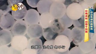 第589集 海鮮控勿錯過！全台最狂「鱈場蟹鍋燒麵」銅板價痛風餐震撼味蕾！宜蘭「爆量瘋蛤麵」物超所值！