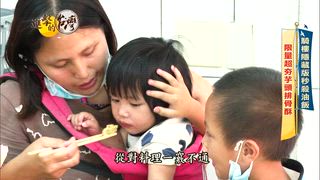 第542集 卯澳限定「火山藤壺」口感像蝦肉、風味類蟹膏！大稻埕廟口30年熱炒攤「三層糯米椒超下飯」成老台北人的記憶！