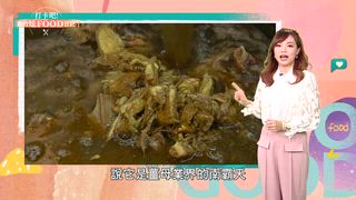 第62集 「牛肉泡饃、香椿皮蛋豆腐」高雄左營必吃！眷村味「30元碳烤燒餅」3hr完售