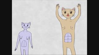 第4集 喵喵的腹肌／五胞胎大家庭